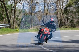 MICH0281