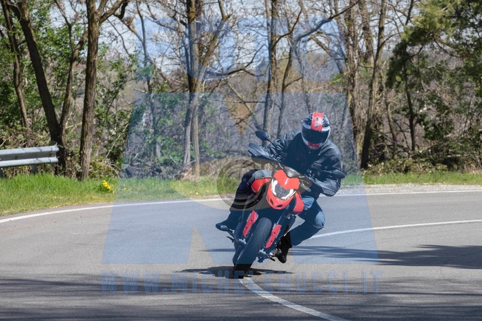 MICH0281