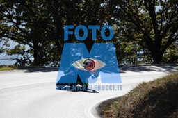MICH0282