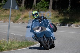MICH0288
