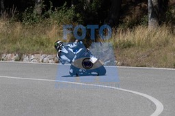 MICH0290