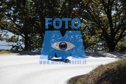 MICH0290