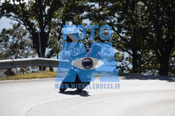MICH0291