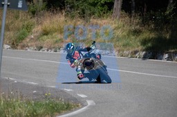 MICH0291