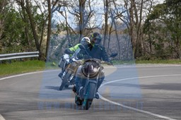 MICH0291