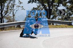 MICH0294