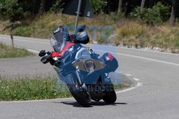 MICH0294