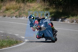 MICH0294
