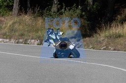 MICH0294