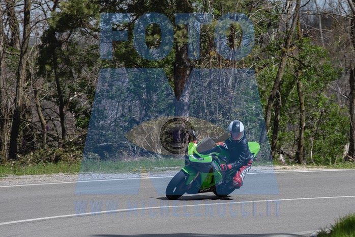MICH0294