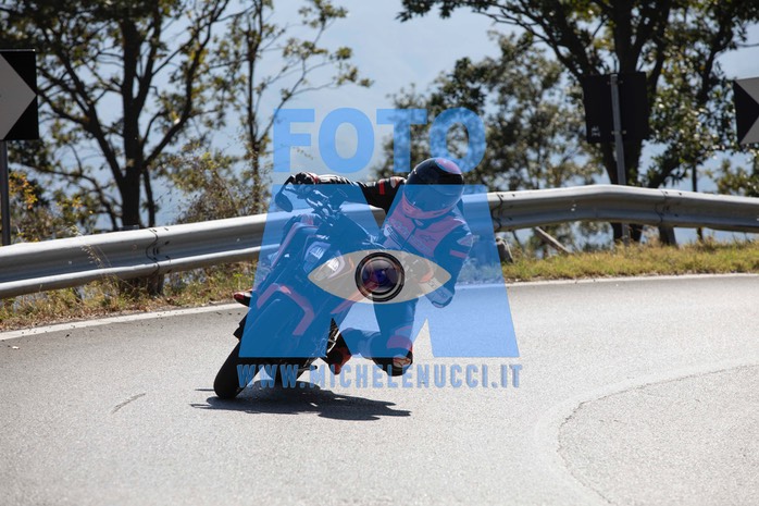 MICH0295