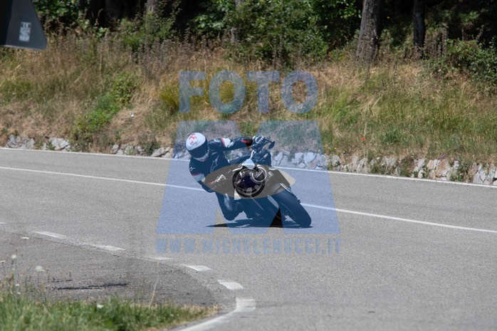 MICH0295