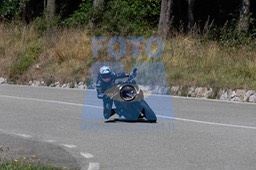 MICH0295
