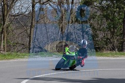 MICH0295