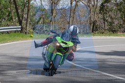 MICH0298