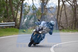 MICH0305