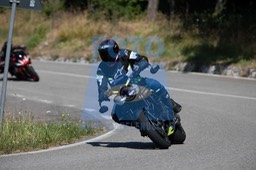 MICH0308