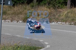 MICH0308