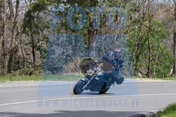 MICH0309