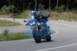 MICH0311