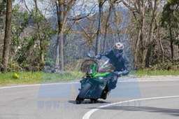 MICH0317