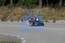 MICH0318