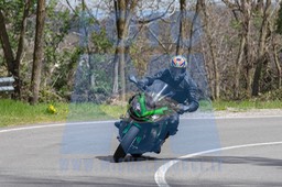 MICH0318