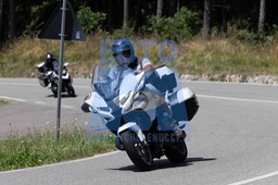 MICH0319