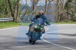 MICH0319