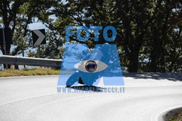 MICH0324
