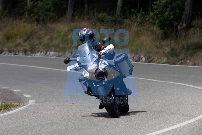 MICH0331
