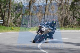 MICH0334