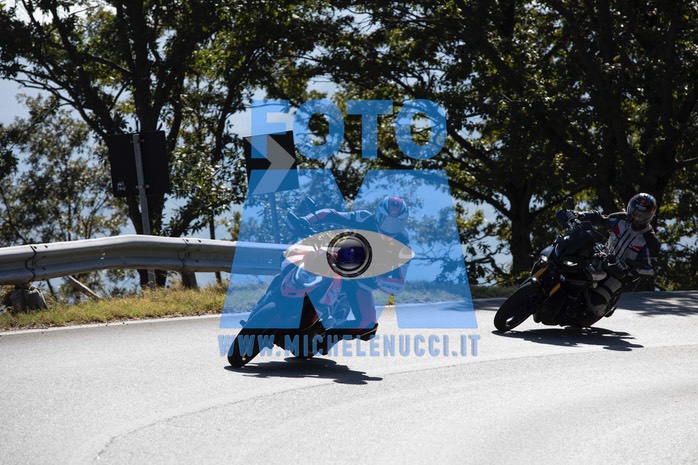 MICH0336