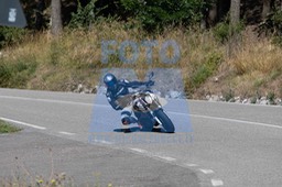 MICH0336