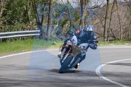MICH0342