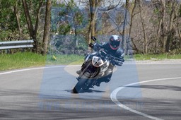 MICH0343