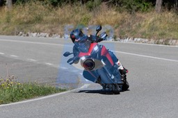 MICH0344