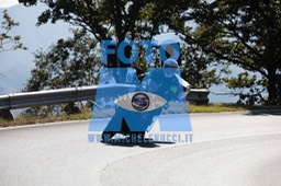 MICH0347