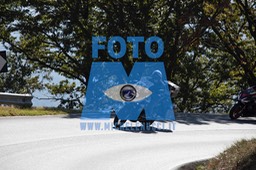 MICH0350