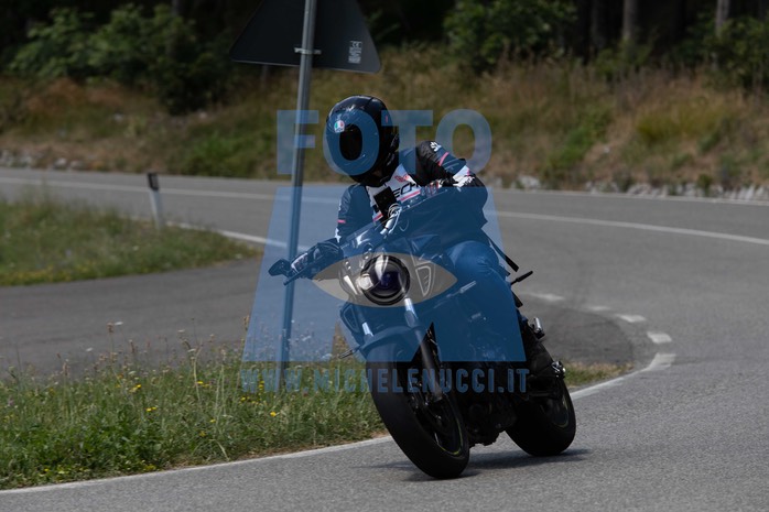 MICH0356