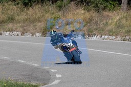 MICH0359