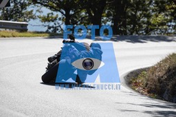 MICH0360