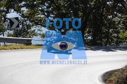 MICH0364