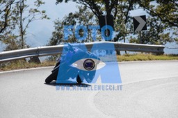 MICH0367