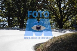 MICH0379