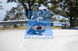 MICH0381
