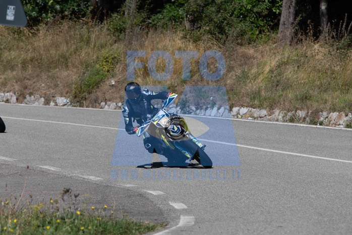 MICH0381