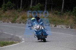 MICH0385