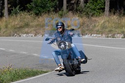 MICH0390