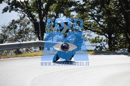 MICH0393